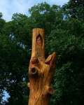 Carved tree closeup