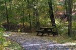 Lonely Picnic Table