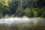 The Mist on the Lake